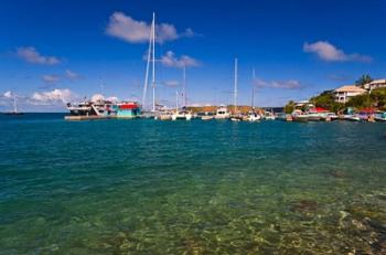 Harbor, Leverick Bay Resort and Marina, BVI | Obraz na stenu