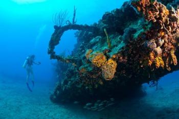 Scuba diver, RMS Rhone wreck, British Virgin Isl | Obraz na stenu