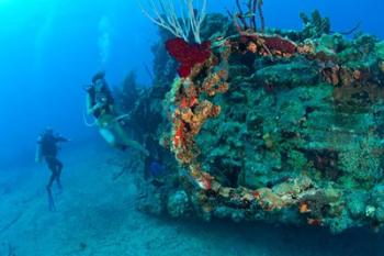 Wreck of the RMS Rhone, Coast of Salt Island, near Tortola, British Virgin Islands | Obraz na stenu