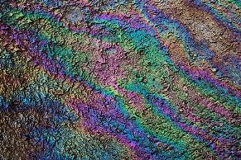 Motor oil creating rainbow pattern on pavement, Havana, Cuba | Obraz na stenu