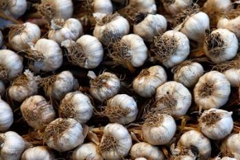 Cuba, Santa Clara Garlic Cloves for sale in a local street market | Obraz na stenu