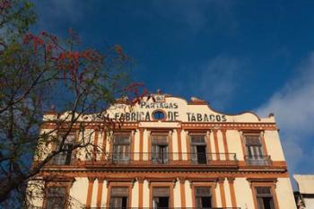 Cuba, Havana, Partagas cigar factory | Obraz na stenu