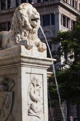 Cuba, Havana, Plaza de San Francisco de Asis Lion fountain | Obraz na stenu