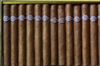 Cuba, Pinar del Rio Province, Cuban Cigars | Obraz na stenu