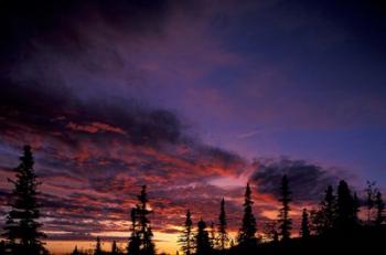 Solstice Sunset atop Midnight Dome, Dawson City, Yukon, Canada | Obraz na stenu