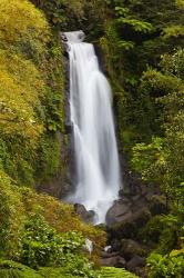 Dominica, Roseau, Trafalgar Waterfalls | Obraz na stenu