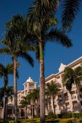 Palm tree, Riu Palace, Bavaro Beach, Higuey, Punta Cana, Dominican Republic | Obraz na stenu