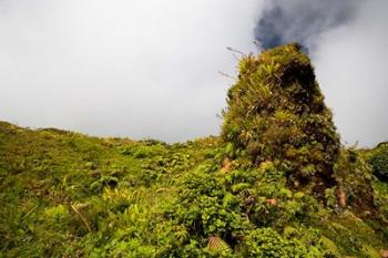 Rim of Summit Crater on Mt Pelee, Martinique, French Antilles | Obraz na stenu