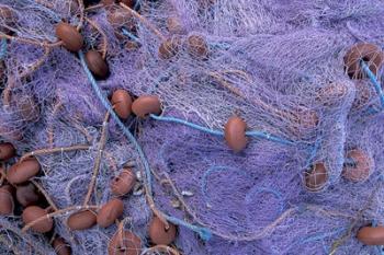 Fishing Nets on Grand Anse, Martinique, Caribbean | Obraz na stenu