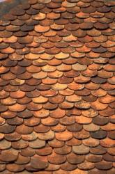 Slate Roof and Colonial Architecture of Trois Islets, Martinique, Caribbean | Obraz na stenu