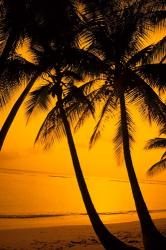 Sunset and Palms, San Juan, Puerto Rico | Obraz na stenu