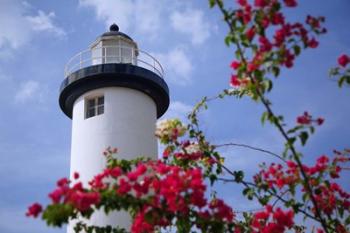 Puerto Rico, Viegues Island, lighthouse of Rincon | Obraz na stenu