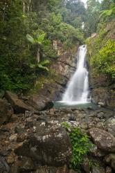 Puerto Rico, El Yunque, La Mina Waterfalls | Obraz na stenu