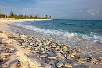 Waves, Coral, Beach, Punta Arena, Mona, Puerto Rico | Obraz na stenu