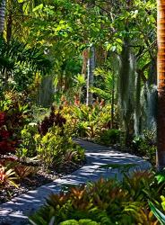 Nature Trail in Charlestown on Nevis, West Indies | Obraz na stenu