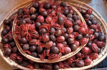 Nutmeg in Public Market, Castries, Caribbean | Obraz na stenu