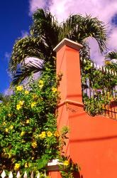 Charlotte Amalie, St Thomas, Caribbean | Obraz na stenu