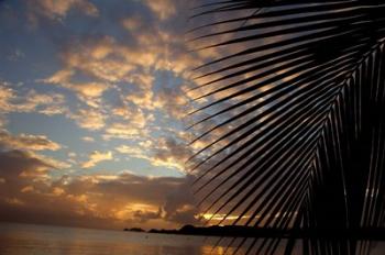 USVI, StThomas, Lindergh Bay, Emerald Beach | Obraz na stenu