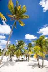Southern Cross Club, Little Cayman, Cayman Islands, Caribbean | Obraz na stenu