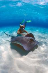 Stingray City, Grand Cayman, Cayman Islands, Caribbean | Obraz na stenu