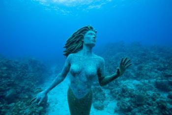 Cayman Islands, Mermaid statue, coral reef | Obraz na stenu