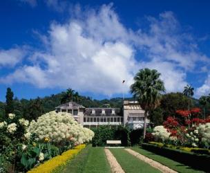 St James, Port of Spain, Trinidad, Caribbean | Obraz na stenu