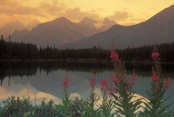 Alberta, Banff, Lake Herbert, Canadian Rockies | Obraz na stenu