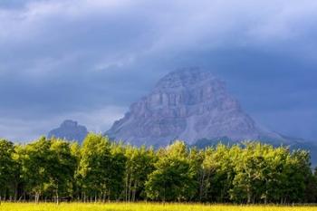 Crowsnest Mountain at Crownest Pass in Alberta, Canada | Obraz na stenu