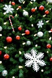 Christmas decorations on tree | Obraz na stenu
