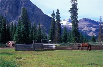 Log Cabin, Horse and Corral, Banff National Park, Alberta, Canada | Obraz na stenu