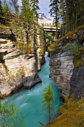 Athabasca Falls, Jasper National Park, Alberta, Canada | Obraz na stenu