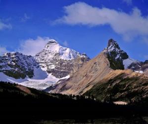 Alberta, Mt Saskatchewan, Banff NP | Obraz na stenu