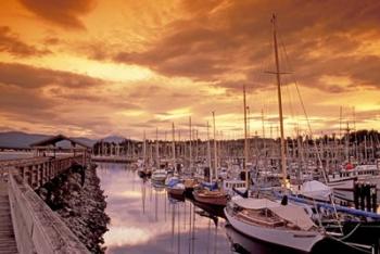 Boats at Sunset, Comox Harbor, British Columbia | Obraz na stenu