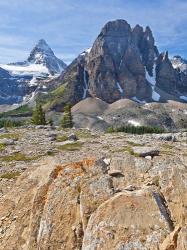 Scenic of Mt Assiniboine and Wedgwood Peak, BC, Canada | Obraz na stenu