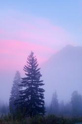 Canada, British Columbia, Mount Robson Park Foggy sunrise | Obraz na stenu