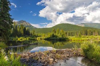 Flathead River, British Columbia, Canada | Obraz na stenu