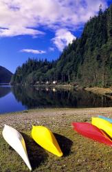 Canoeing, Clayoquot Wilderness, British Columbia | Obraz na stenu