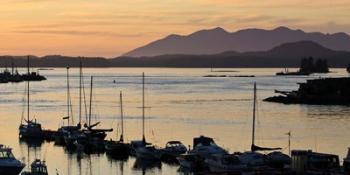 Sunset at Tofino, Harbor, Vancouver Island, British Columbia | Obraz na stenu