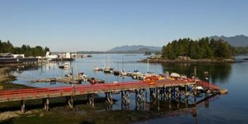 Dock and harbor, Tofino, Vancouver Island, British Columbia | Obraz na stenu