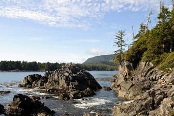 Outcrop, Hot Springs Cove, Vancouver Island, British Columbia | Obraz na stenu