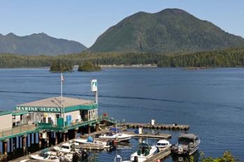 Harbor, Meares Island, Vancouver Island, British Columbia | Obraz na stenu