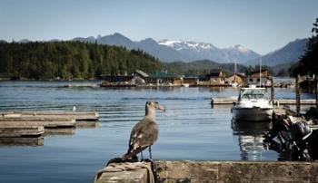 British Columbia, Vancouver Island, Strathcona Park, Harbor | Obraz na stenu