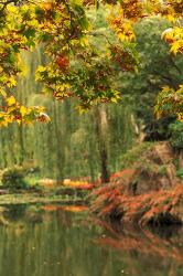 Colorful Fall Leaves at Butchart Gardens, Victoria, British Columbia, Canada | Obraz na stenu