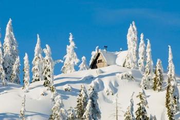 Mountain cabin, Seymour Mountain, British Columbia | Obraz na stenu
