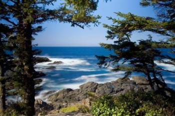 Wild Pacific Trail, Vancouver Island British Columbia | Obraz na stenu