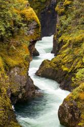 River, Vancouver Island, British Columbia | Obraz na stenu