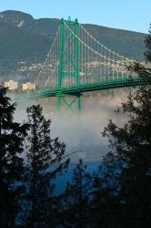 British Columbia, Vancouver, Lion's Gate Bridge over Fog | Obraz na stenu