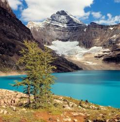 British Columbia, Yoho NP Lake McArthur | Obraz na stenu