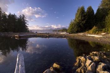 Keith Island, Pacific Rim NP, British Columbia | Obraz na stenu