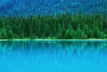 Emerald Lake Boathouse, Yoho National Park, British Columbia, Canada (horizontal) | Obraz na stenu